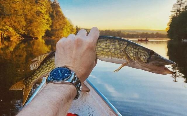 Đồng hồ chính hãng cao cấp