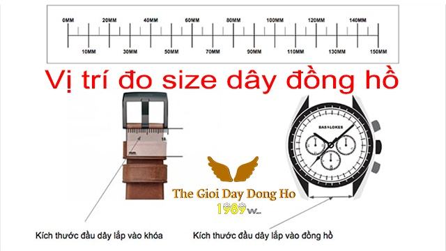 hướng dẫn đo size dây đồng hồ